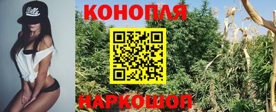 крисы Конаково
