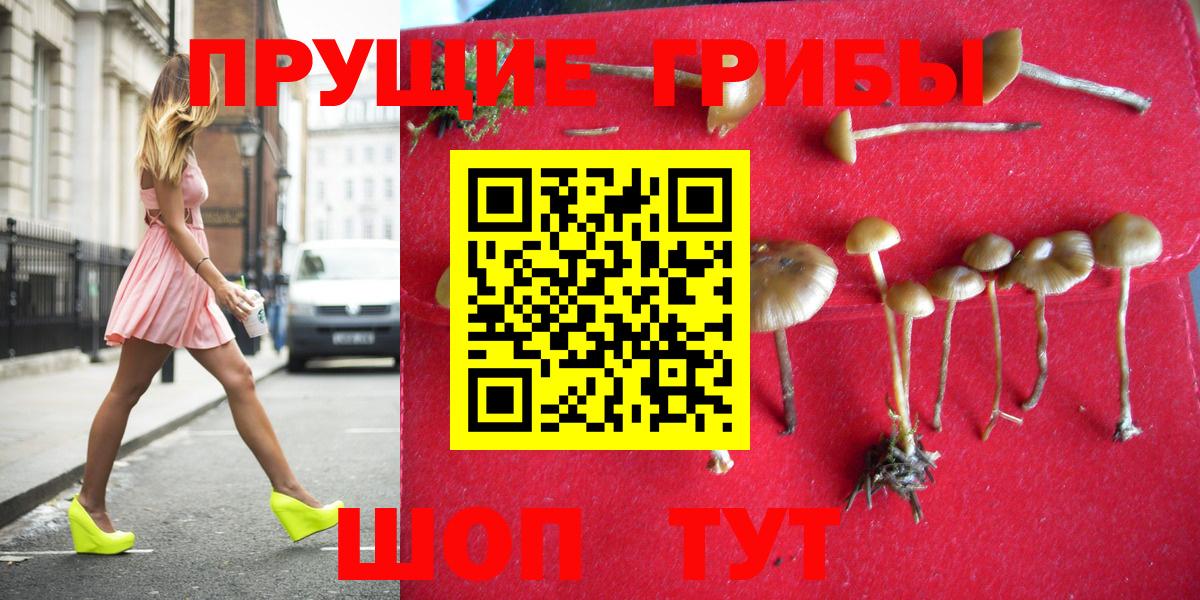 Псилоцибиновые грибы MAGIC MUSHROOMS Киселёвск