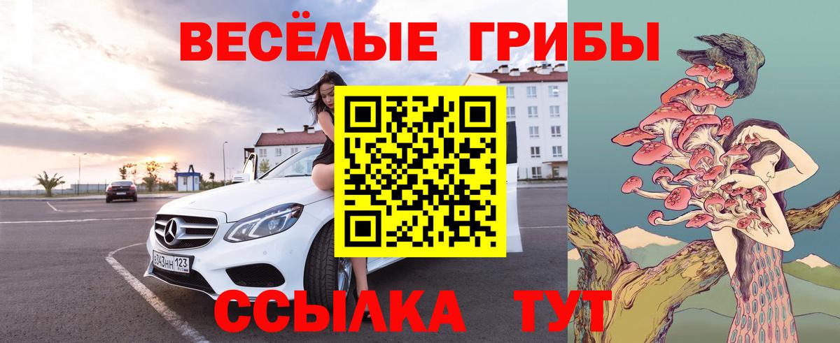 Галлюциногенные грибы ЛСД  Вход с VPN  Киселёвск 